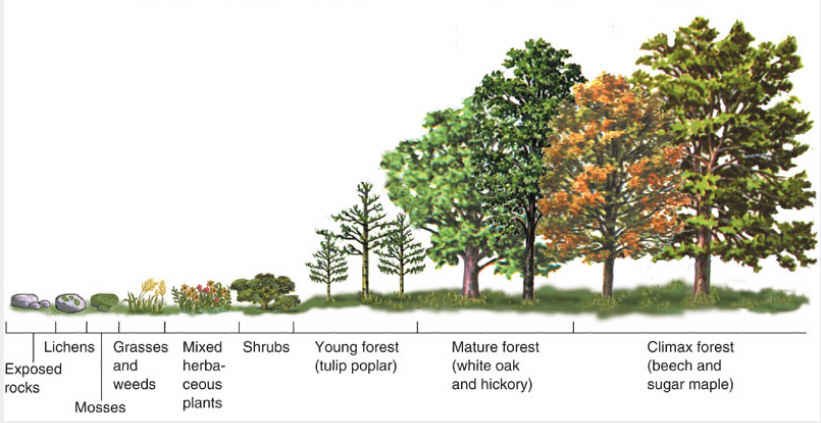 lesson image
