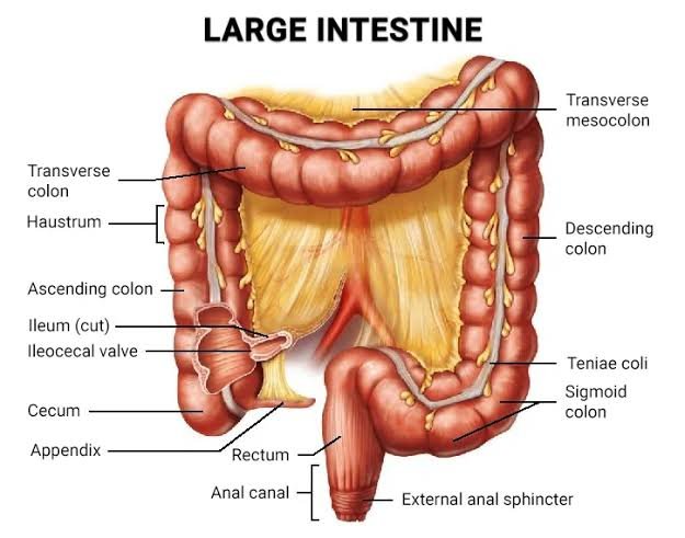 lesson image