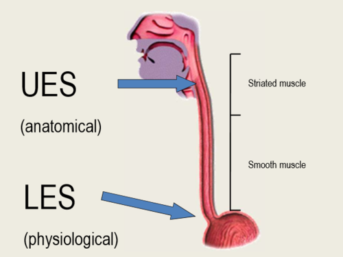 lesson image