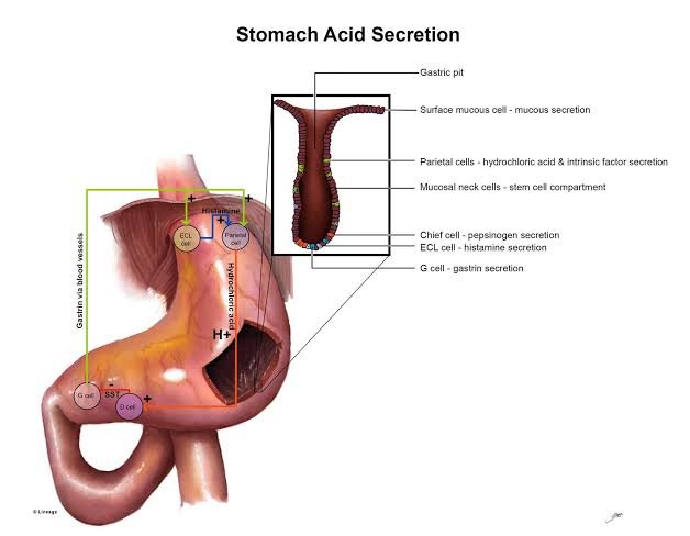 lesson image