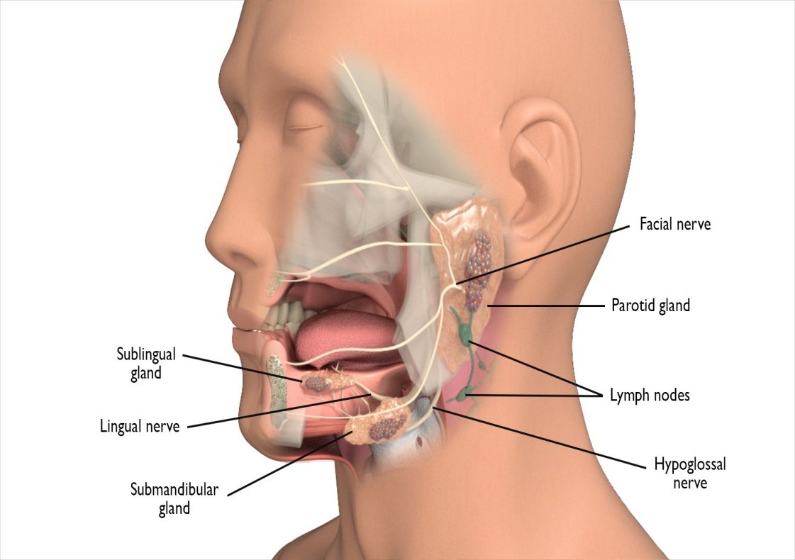 lesson image