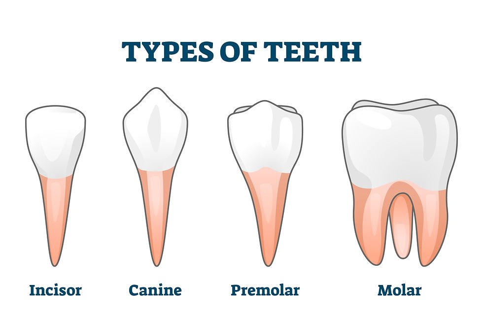 lesson image