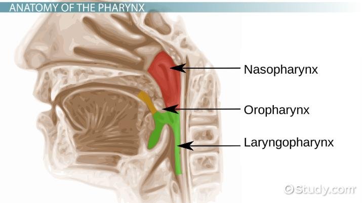 lesson image