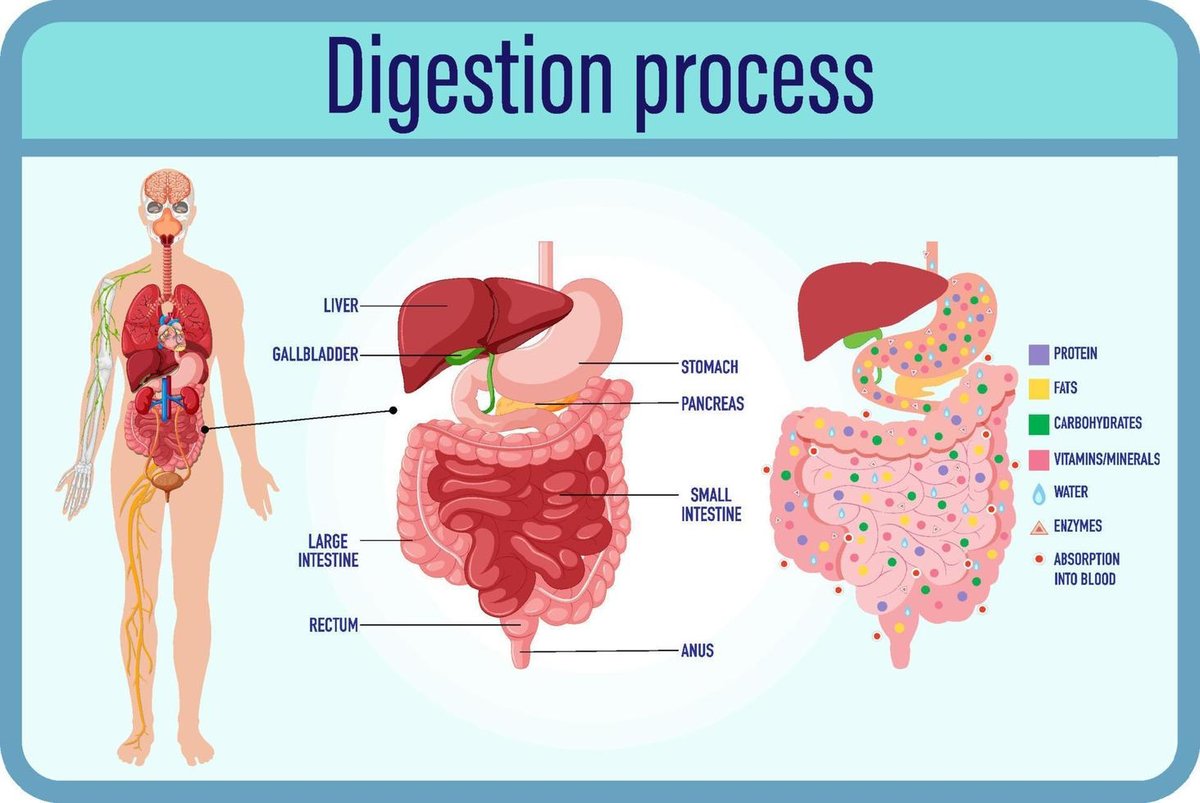 lesson image
