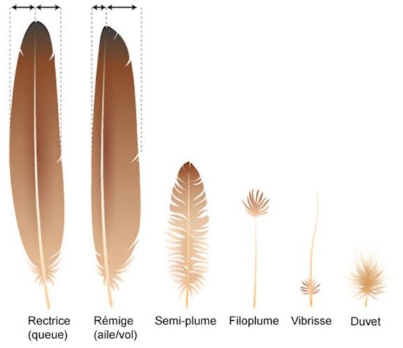 lesson image