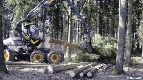 lesson image