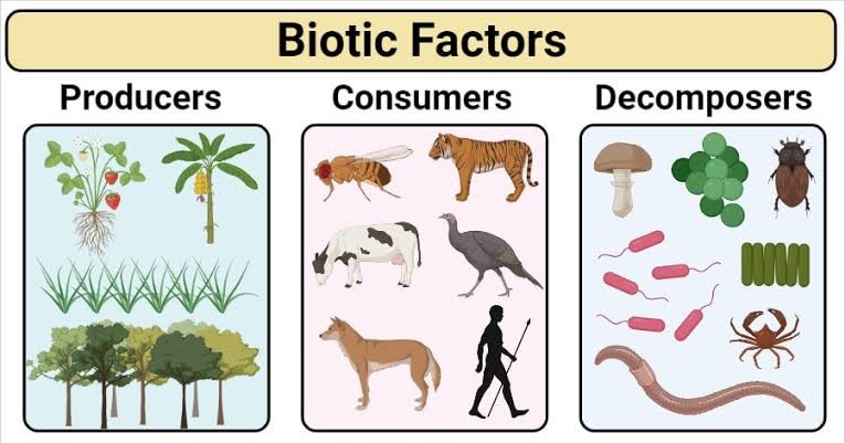 biotic-factors-primacy-e-books