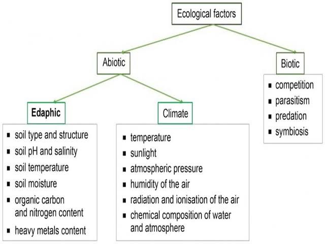 edaphic-factors-primacy-e-books